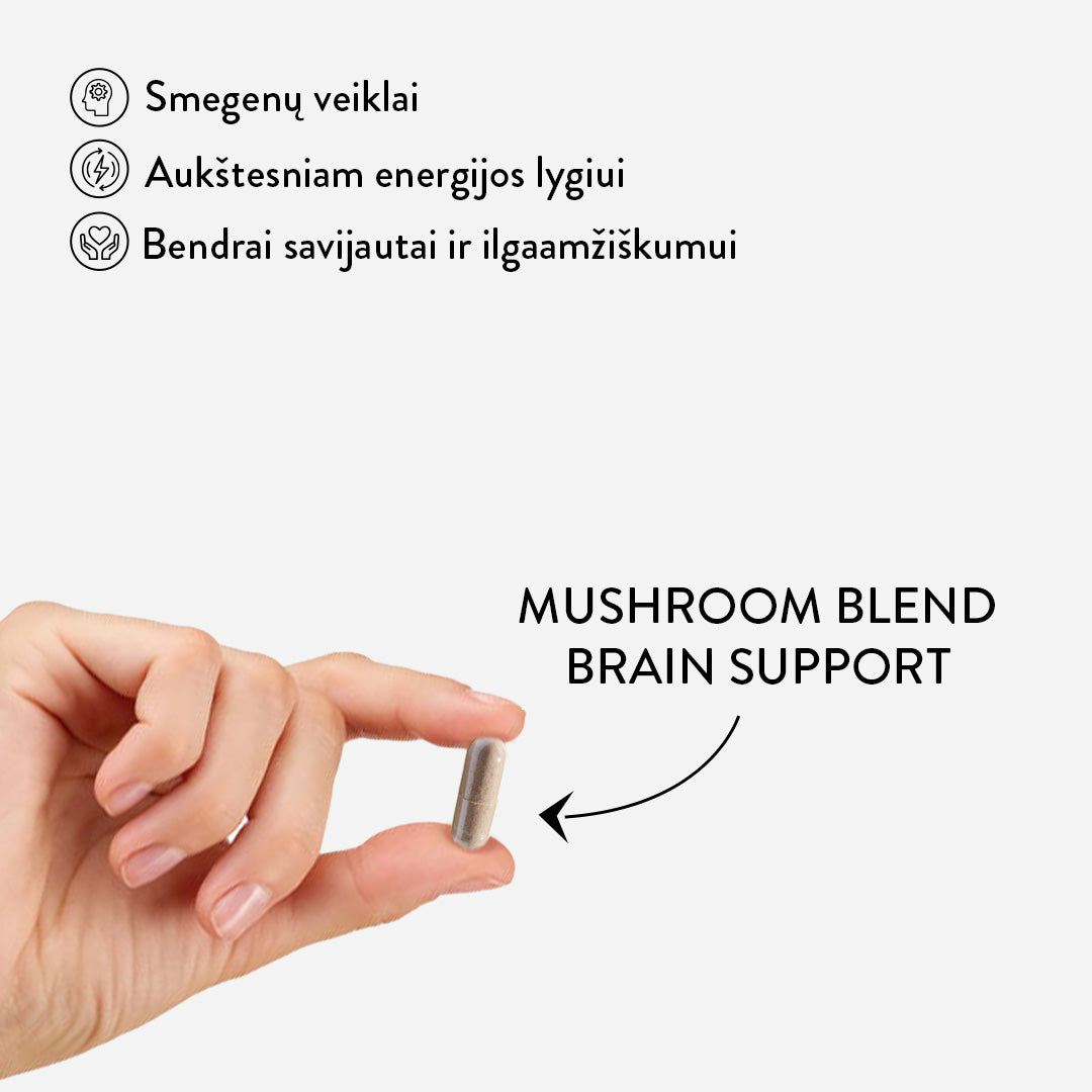 Mushroom Blend Brain Support (30 caps)