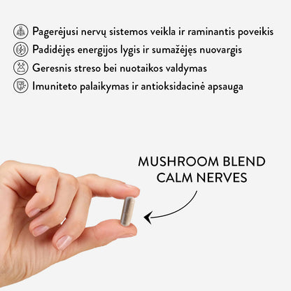 Mushroom Blend Calm Nerves (30 caps)