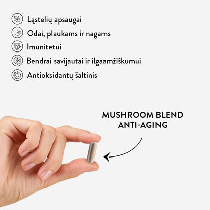 Mushroom Blend Anti-Aging (60 caps)